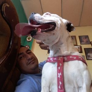 Meet your Posher, Oscar